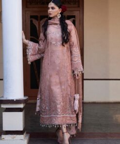 darlings festive 2025 collection by hussain rehar | danara darlings festive 2025 collection by hussain rehar | danara