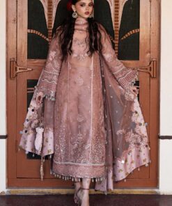 darlings festive 2025 collection by hussain rehar | danara darlings festive 2025 collection by hussain rehar | danara