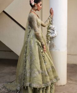 darlings festive 2025 collection by hussain rehar | tahiri