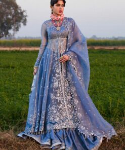 hrfestive251772 1 copy ed1 2400x.jpg