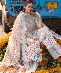 darlings festive 2025 collection by hussain rehar | zareen darlings festive 2025 collection by hussain rehar | zareen