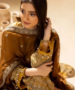 adan’s libas chiffon collection 2024 | d 6204