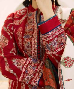 coco eid edition by zara shahjahan 2024 | kashmir kali d3