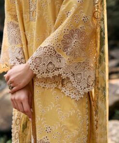 lawnkari by image 2024 | d 17