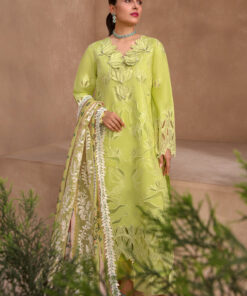 rang rasiya premium eid lawn collection – lime (gz 83)
