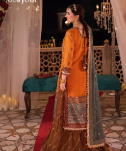 asim jofa chandni raatein | ajcr 07