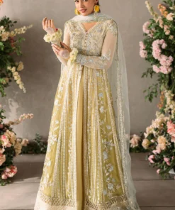 mastani evening chiffon collection by mushq | hira