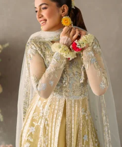 mastani evening chiffon collection by mushq | hira