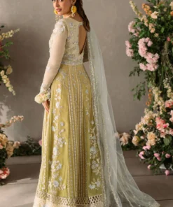 mastani evening chiffon collection by mushq | hira