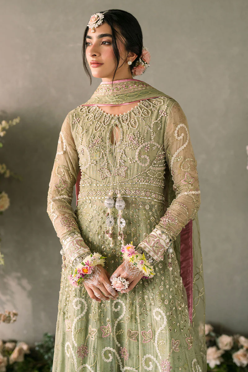 mastani evening chiffon collection by mushq | namar mastani evening chiffon collection by mushq | namar