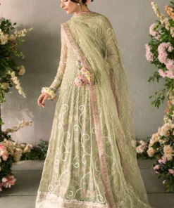 mastani evening chiffon collection by mushq | namar mastani evening chiffon collection by mushq | namar