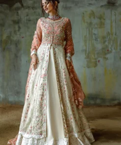 mushq stardust | unstitched wedding collection ’24 | galaxy gown