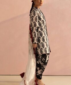coco prints 2025 by zara shahjahan | paisley 6a