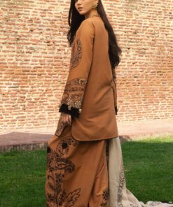 zara shahjahan winter collection | roya d6