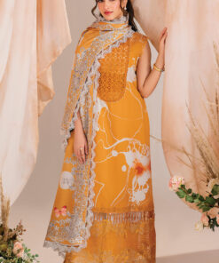 winter meraki’24 by asifa & nabeel | mw 08