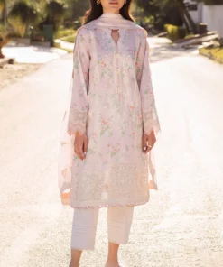 untitled 2 0073 mg 9091.webp