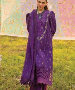 carnation by rang rasiya | d 01