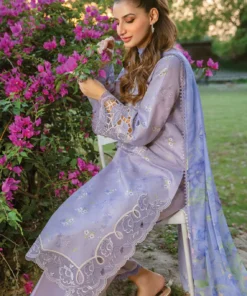 carnation by rang rasiya | d 03