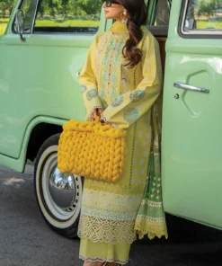 carnation by rang rasiya | d 07