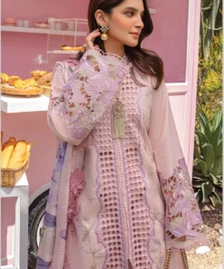 carnation by rang rasiya | d 10