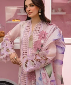 carnation by rang rasiya | d 10