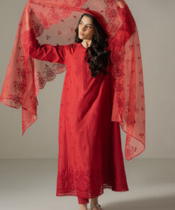 chikankari lawn by cross stitch 2025 | carmine gris