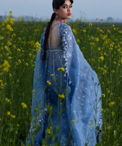 darlings festive 2025 collection by hussain rehar | mira
