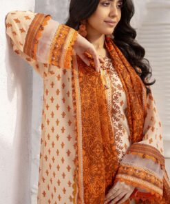 colors digital lawn by al zohaib 2025