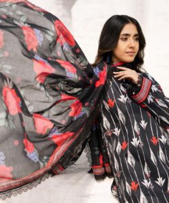 colors digital lawn by al zohaib 2025