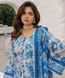 colors digital lawn by al zohaib 2025