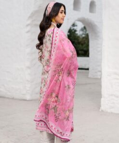 colors digital lawn by al zohaib 2025