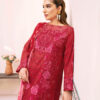 Ramsha Andaaz Lawn 2025 | Z-1003 resize andaaz 43.jpg