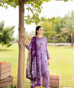 resize rangrez 1.jpg