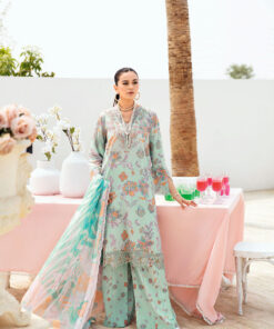 resize rangrez 31.jpg