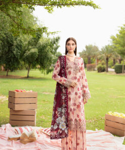 resize rangrez 48.jpg