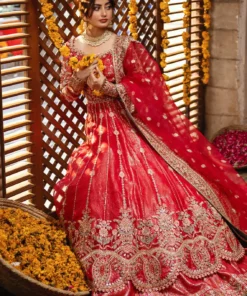 sajal by serene wedding collection | sb 30