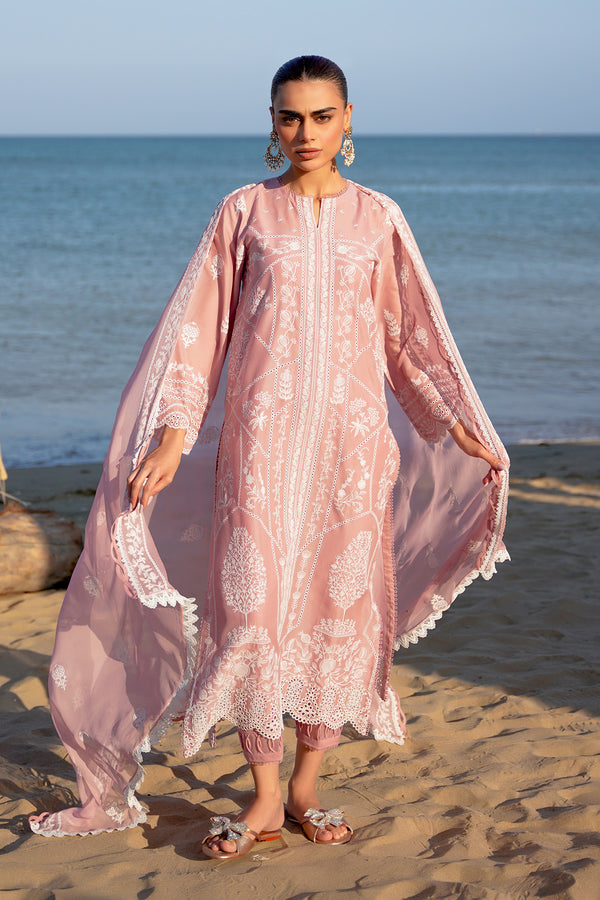 untitled 02289.jpg untitled 02289.jpg